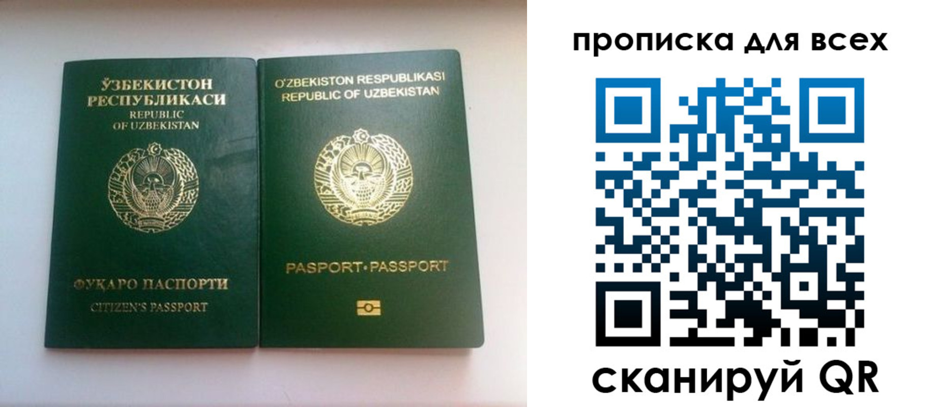 прописка для школы в Павловском Посаде